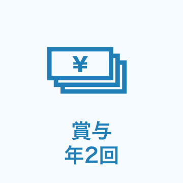 賞与年2回